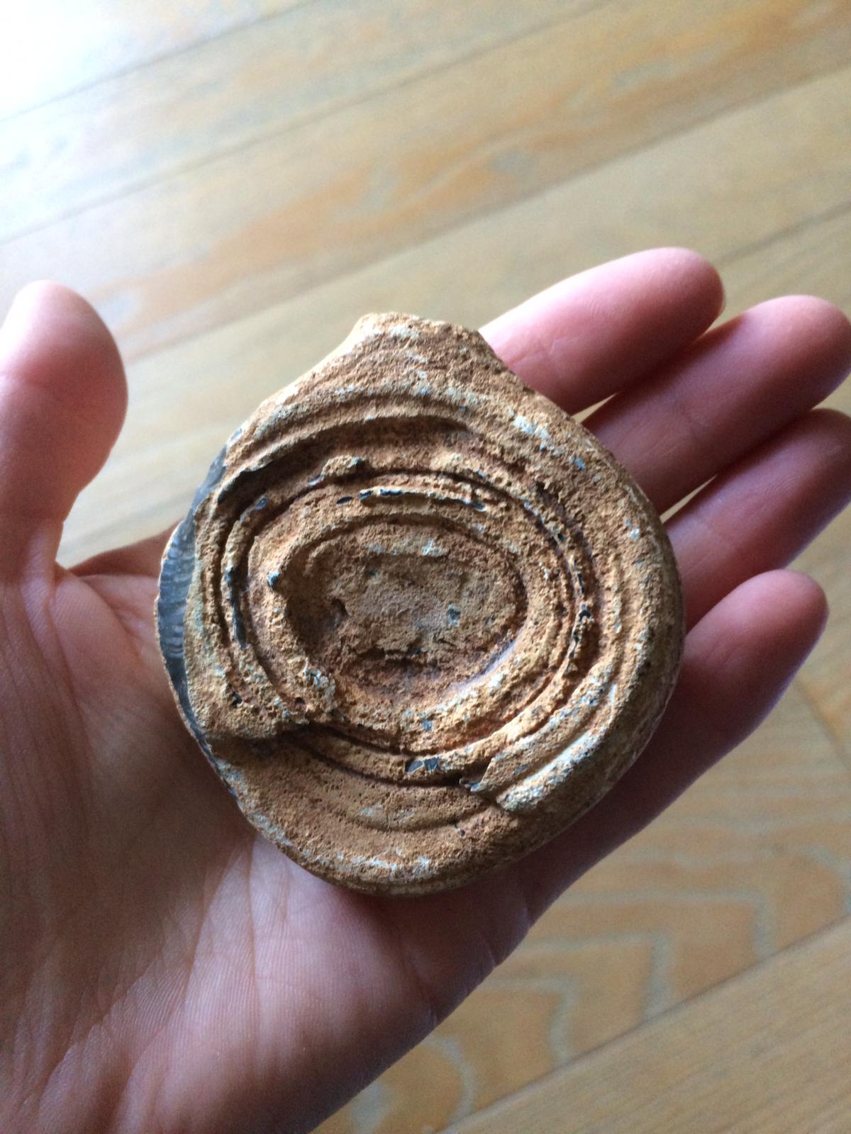 Aiuto identificazione